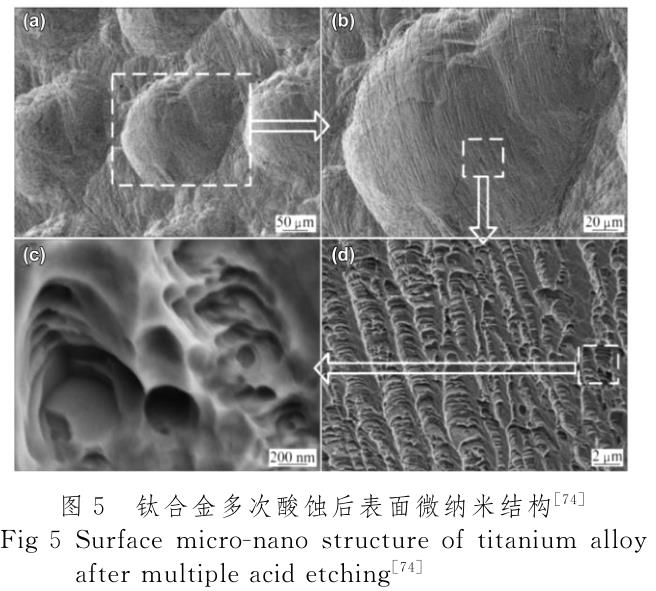 醫(yī)用鈦合金表面改性技術研究進展 醫(yī)用鈦合金表面改性技術研究進展