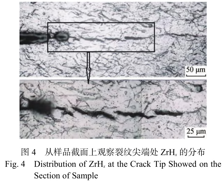 鋯合金表面缺陷引起氫致延遲開(kāi)裂行為的研究