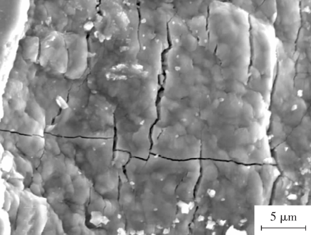 1713970172542358.jpg 5.jpg