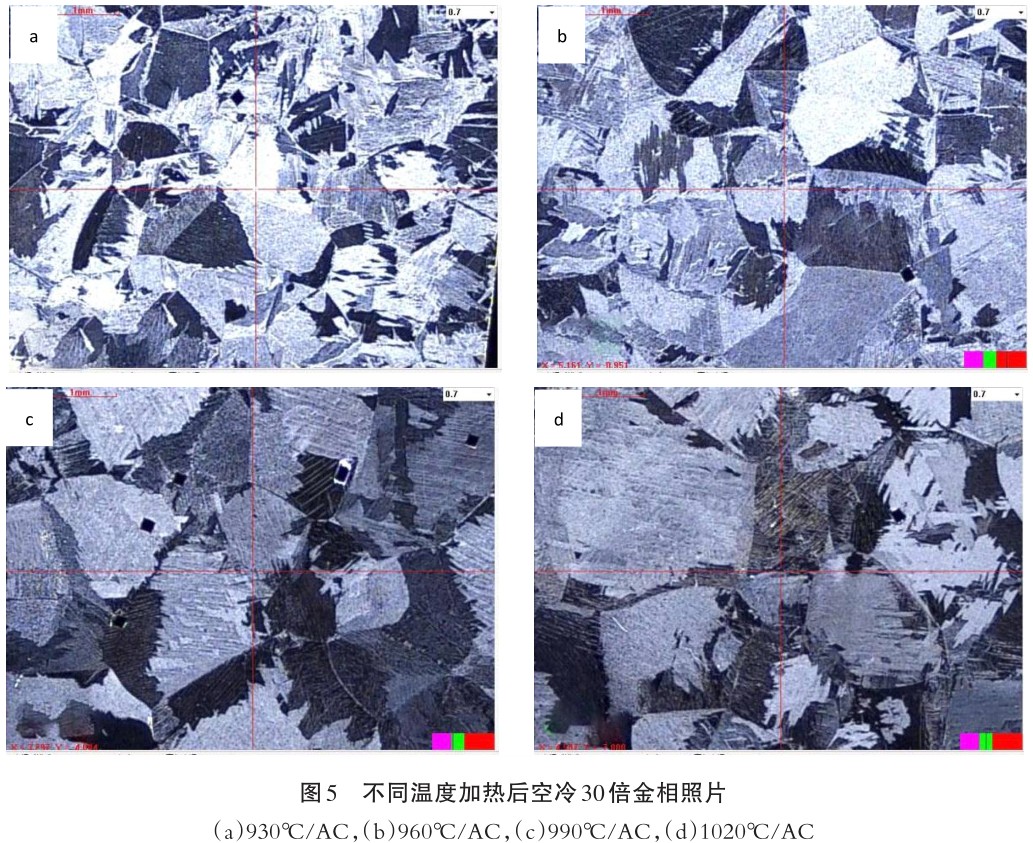 1701296706576337.jpg t5.jpg