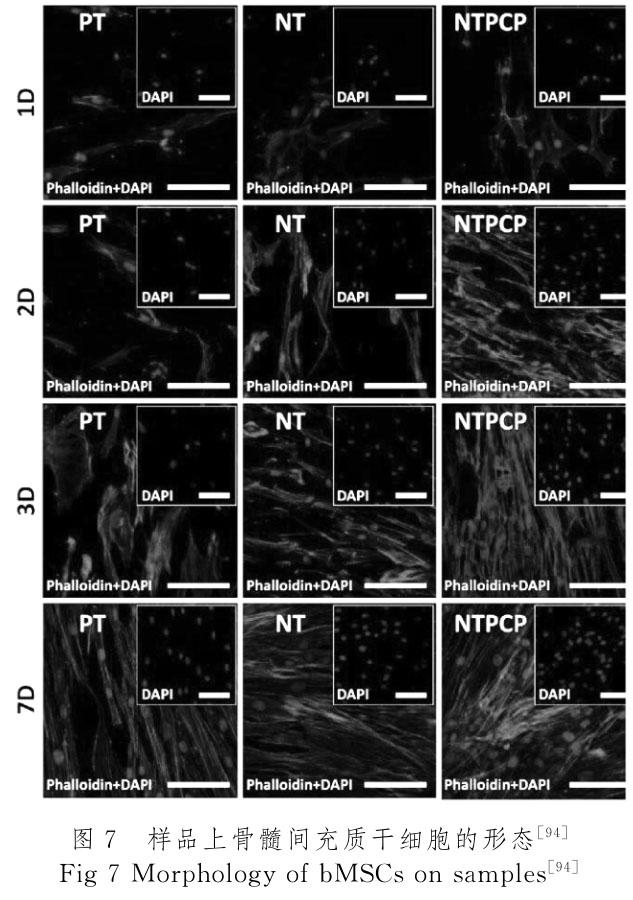 1720340199705407.jpg t7.jpg