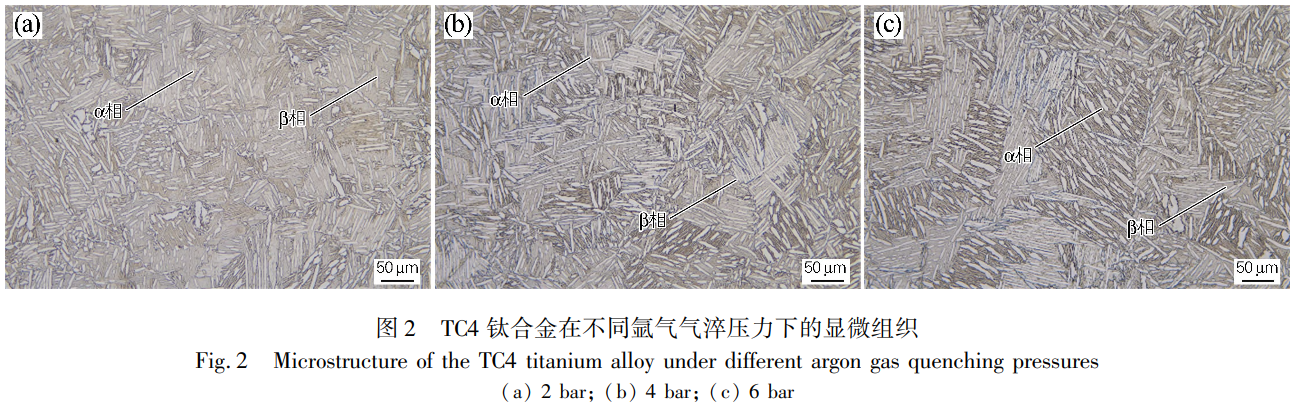 1734145973120609.png 2.png