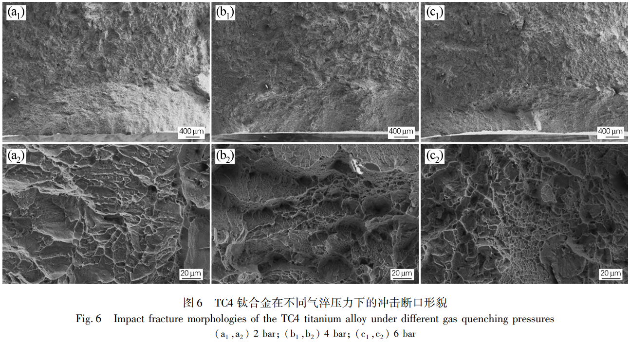 1734146027638859.png 6.png