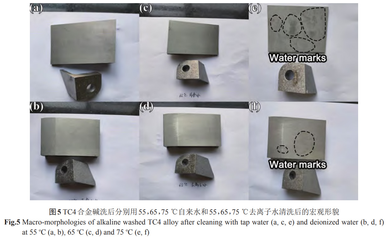 1738593692804319.jpg 5.jpg